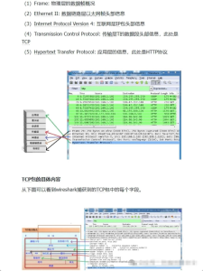 Wireshark保姆级使用指南