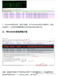 Wireshark保姆级使用指南