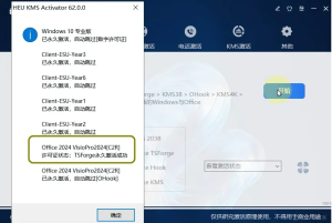 IT 架构 / 工程绘图必备:Visio 2024下载安装教程,实操笔记:流程图绘制 + 数据联动全流程